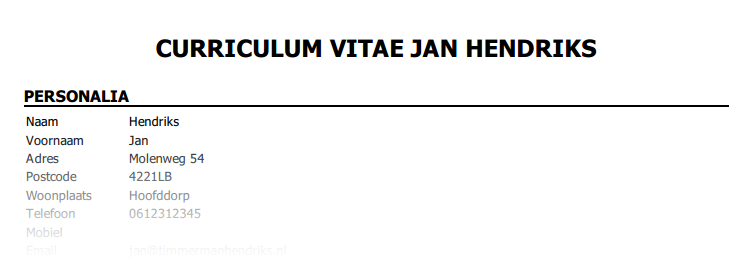 Voorbeeld CV
